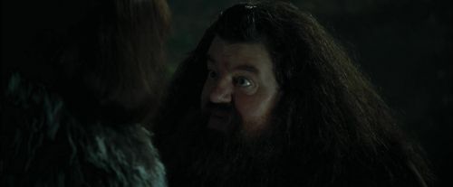 CdF-Potterish_3062.jpg