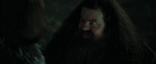 CdF-Potterish_3063.jpg