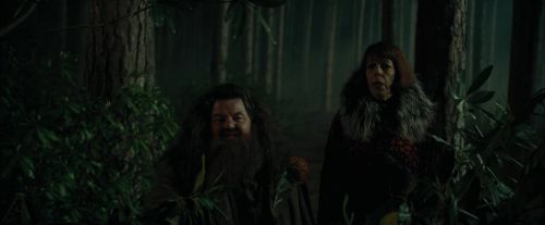 CdF-Potterish_3068.jpg