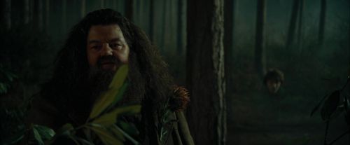 Click to view full size image
==============
CdF-Potterish_3084.jpg CdF-Potterish_3084.jpg