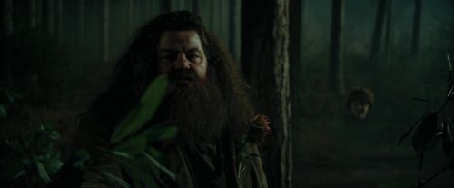 Click to view full size image
==============
CdF-Potterish_3085.jpg CdF-Potterish_3085.jpg