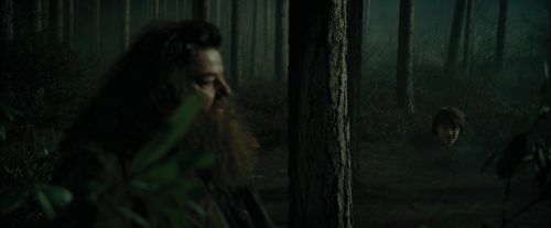 Click to view full size image
==============
CdF-Potterish_3086.jpg CdF-Potterish_3086.jpg