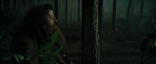 CdF-Potterish_3087.jpg
