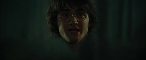 Click to view full size image
==============
CdF-Potterish_3089.jpg CdF-Potterish_3089.jpg