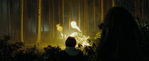 CdF-Potterish_3096.jpg
