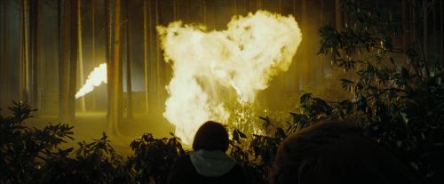 CdF-Potterish_3097.jpg