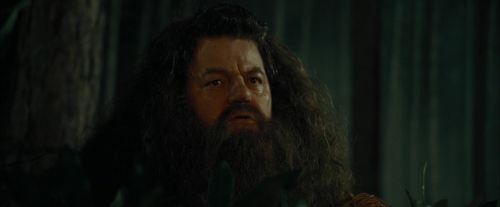 CdF-Potterish_3101.jpg