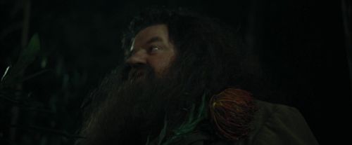 Click to view full size image
==============
CdF-Potterish_3105.jpg CdF-Potterish_3105.jpg