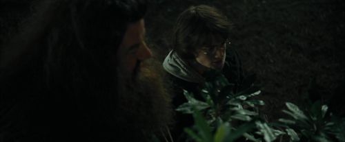 CdF-Potterish_3107.jpg
