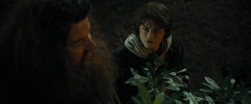 Click to view full size image
==============
CdF-Potterish_3108.jpg CdF-Potterish_3108.jpg
