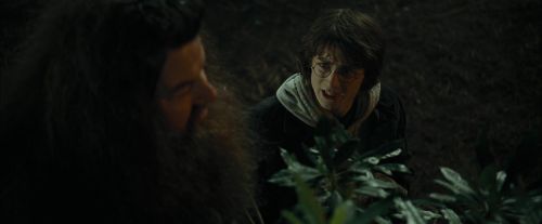 Click to view full size image
==============
CdF-Potterish_3109.jpg CdF-Potterish_3109.jpg