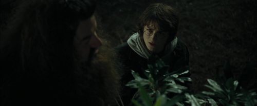 CdF-Potterish_3110.jpg
