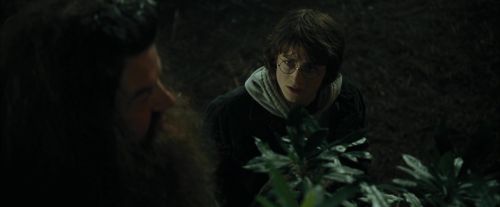CdF-Potterish_3111.jpg