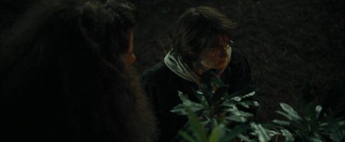 Click to view full size image
==============
CdF-Potterish_3112.jpg CdF-Potterish_3112.jpg