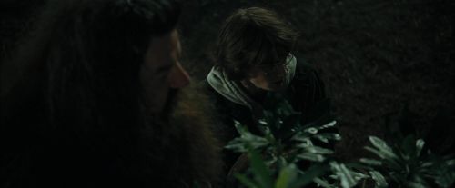 Click to view full size image
==============
CdF-Potterish_3113.jpg CdF-Potterish_3113.jpg