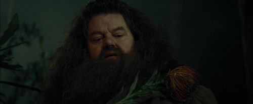 CdF-Potterish_3114.jpg