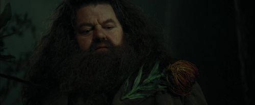 Click to view full size image
==============
CdF-Potterish_3115.jpg CdF-Potterish_3115.jpg