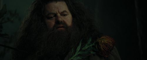 Click to view full size image
==============
CdF-Potterish_3116.jpg CdF-Potterish_3116.jpg