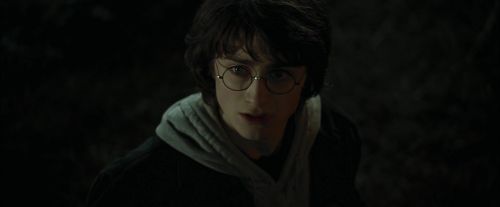 Click to view full size image
==============
CdF-Potterish_3118.jpg CdF-Potterish_3118.jpg