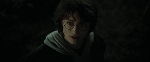Click to view full size image
==============
CdF-Potterish_3119.jpg CdF-Potterish_3119.jpg