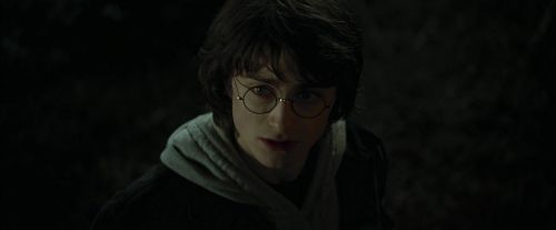 CdF-Potterish_3120.jpg