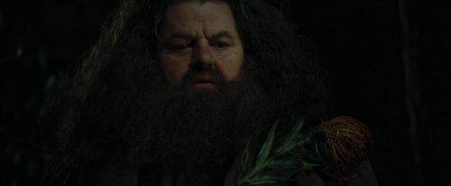 CdF-Potterish_3121.jpg