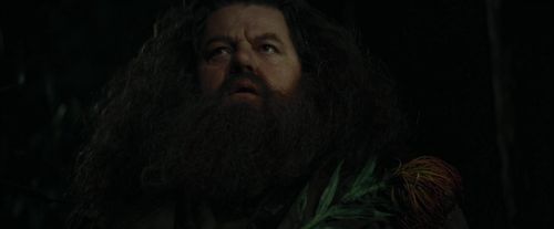 CdF-Potterish_3122.jpg