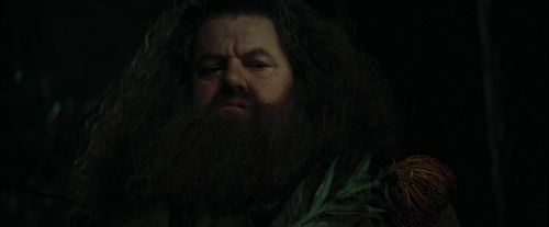CdF-Potterish_3123.jpg