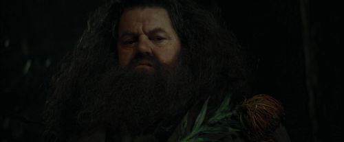 Click to view full size image
==============
CdF-Potterish_3124.jpg CdF-Potterish_3124.jpg
