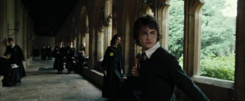 CdF-Potterish_3135.jpg