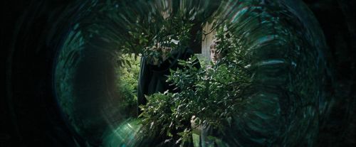 CdF-Potterish_3182.jpg