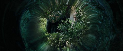 Click to view full size image
==============
CdF-Potterish_3183.jpg CdF-Potterish_3183.jpg