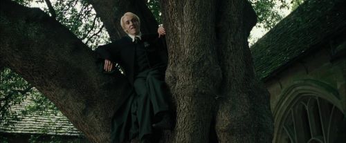 CdF-Potterish_3218.jpg
