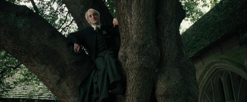 Click to view full size image
==============
CdF-Potterish_3219.jpg CdF-Potterish_3219.jpg
