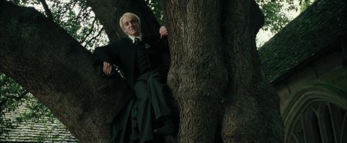 CdF-Potterish_3220.jpg
