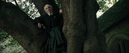 CdF-Potterish_3221.jpg