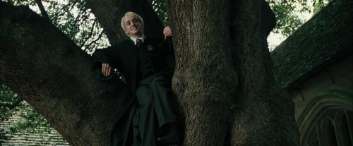 CdF-Potterish_3222.jpg