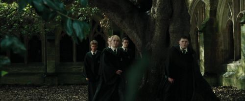 CdF-Potterish_3226.jpg