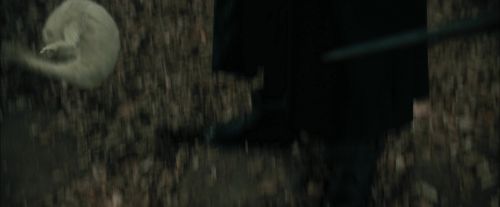 Click to view full size image
==============
CdF-Potterish_3251.jpg CdF-Potterish_3251.jpg