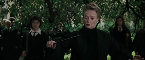 Click to view full size image
==============
CdF-Potterish_3277.jpg CdF-Potterish_3277.jpg