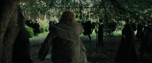 CdF-Potterish_3290.jpg