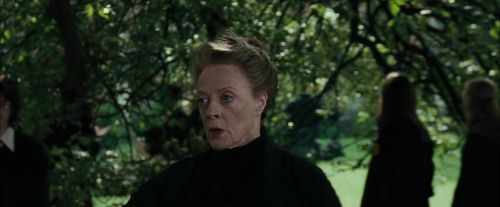 CdF-Potterish_3292.jpg