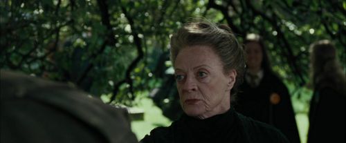 CdF-Potterish_3294.jpg