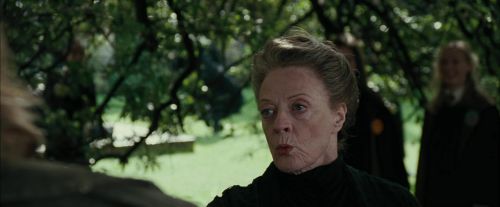 CdF-Potterish_3296.jpg