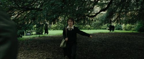 Click to view full size image
==============
CdF-Potterish_3317.jpg CdF-Potterish_3317.jpg