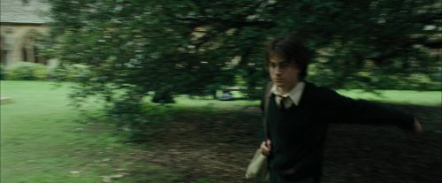 Click to view full size image
==============
CdF-Potterish_3318.jpg CdF-Potterish_3318.jpg