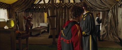 CdF-Potterish_3474.jpg