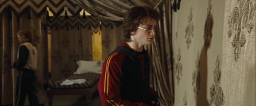 Click to view full size image
==============
CdF-Potterish_3484.jpg CdF-Potterish_3484.jpg