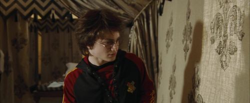 Click to view full size image
==============
CdF-Potterish_3485.jpg CdF-Potterish_3485.jpg