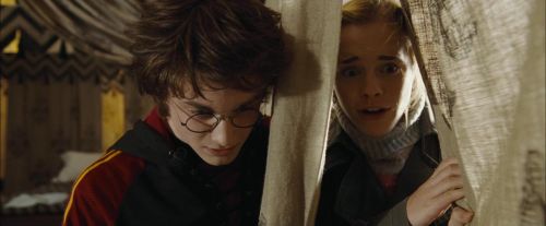 Click to view full size image
==============
CdF-Potterish_3488.jpg CdF-Potterish_3488.jpg